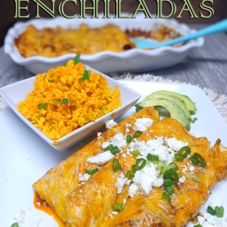 Tex Mex Chicken Enchiladas